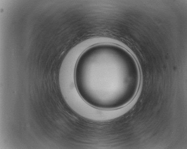 X0000083590520200702090845