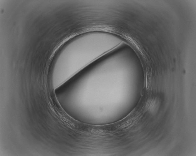 X0000083590531200702090844