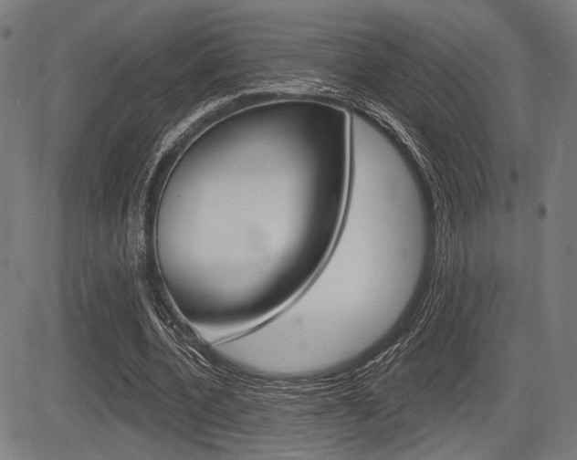 X0000083590532200702090844