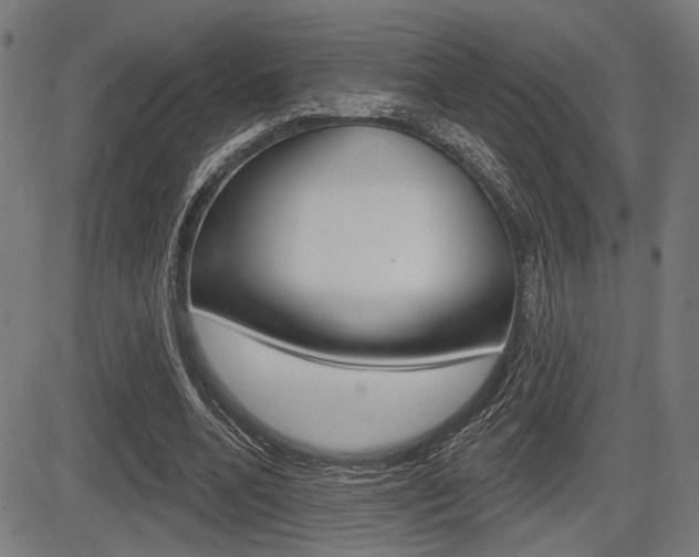 X0000083590536200702090844