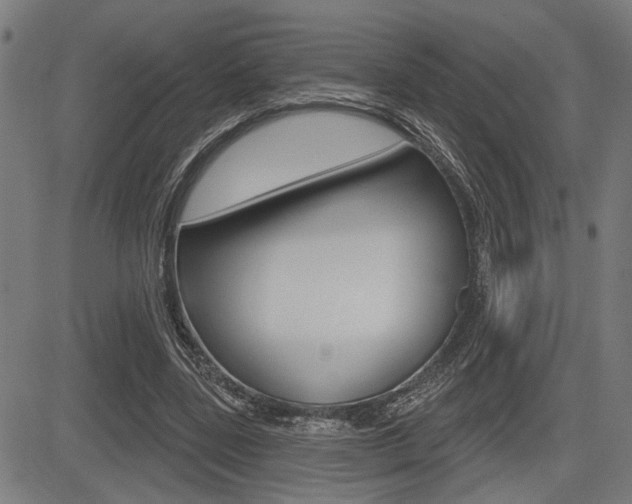 X0000083590539200702090844