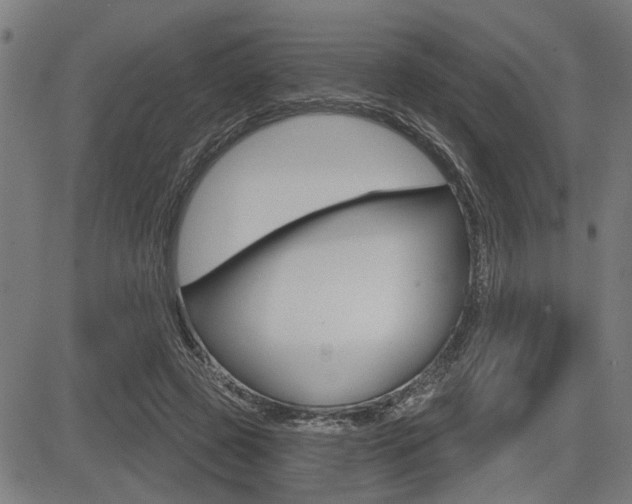 X0000083590545200702090844