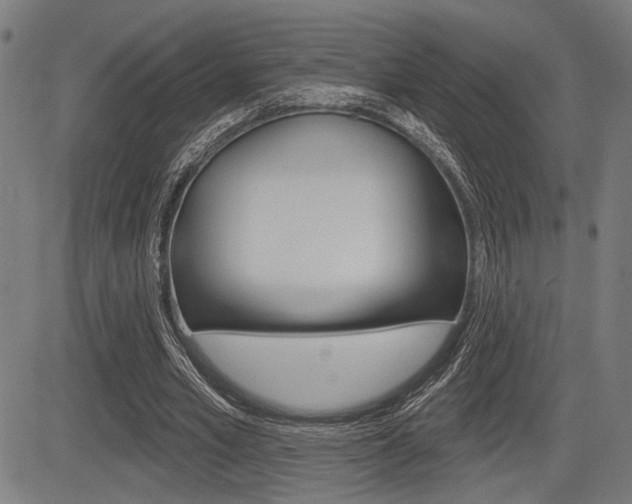 X0000083590581200702090844