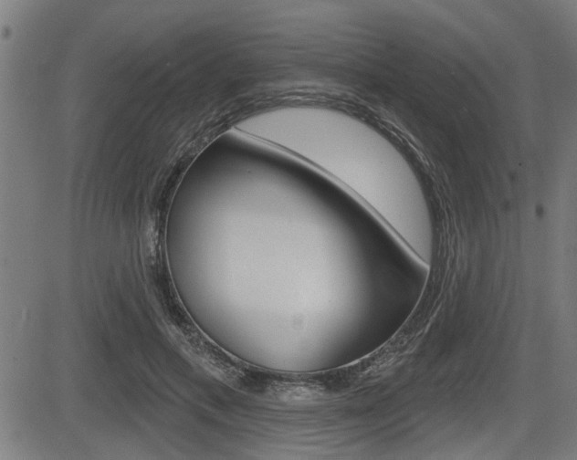 X0000083590597200702090843