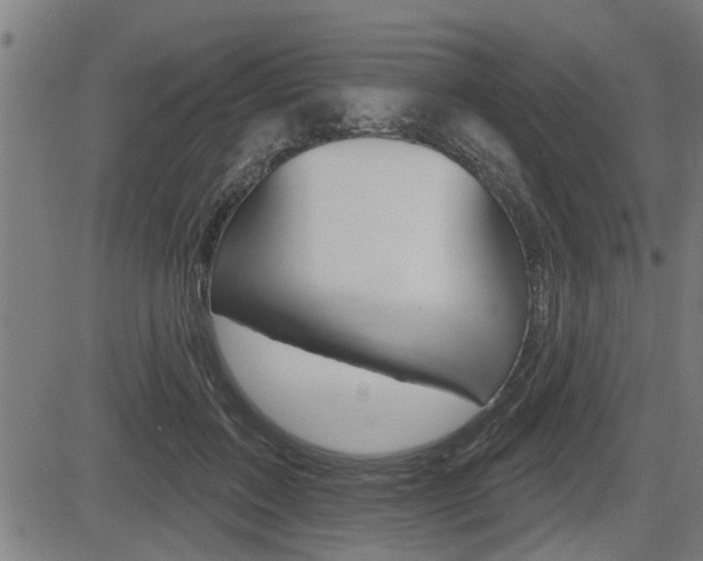 X0000083590603200702090843