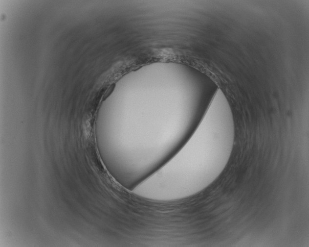 X0000083590611200702090843