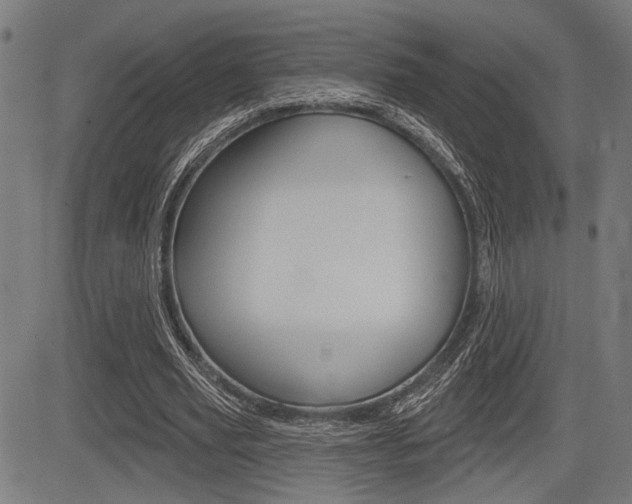 X0000083590629200702090842
