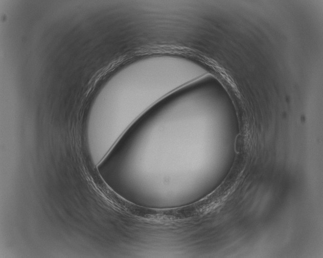 X0000083590633200702090842