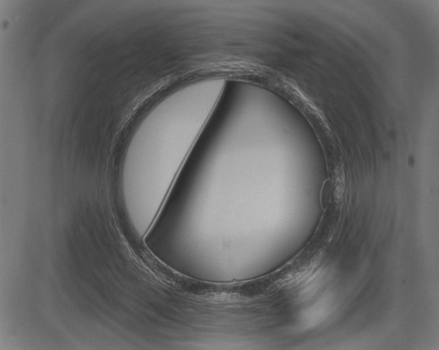 X0000083590637200702090842