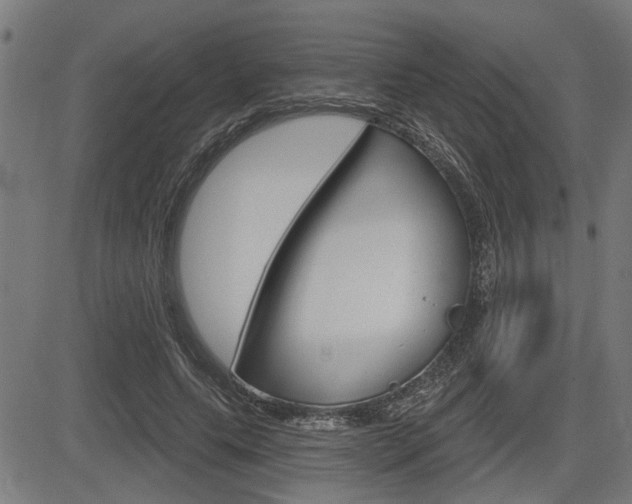 X0000083590639200702090842
