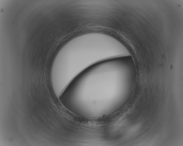 X0000083590641200702090842
