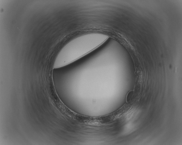 X0000083590643200702090842