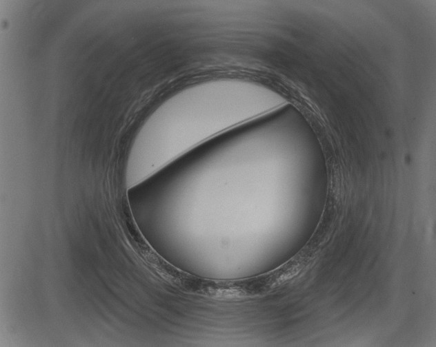X0000083590645200702090842
