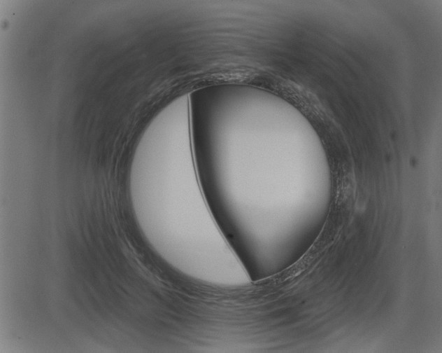 X0000083590647200702090842