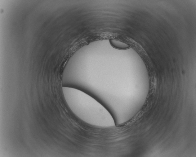 X0000083590663200702090843