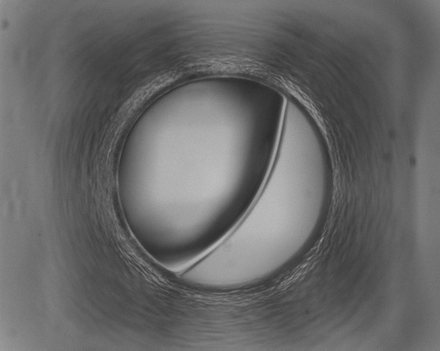 X0000083590673200702090842