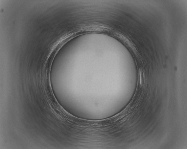 X0000083590675200702090842