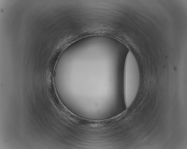 X0000083590692200702090842