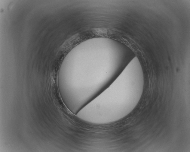 X0000083590702200702090842