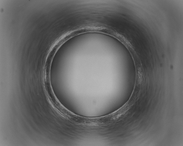 X0000083590726200702090841