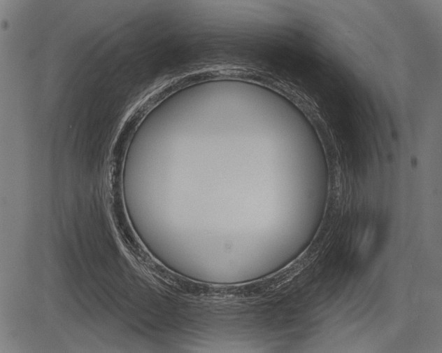 X0000083590730200702090841