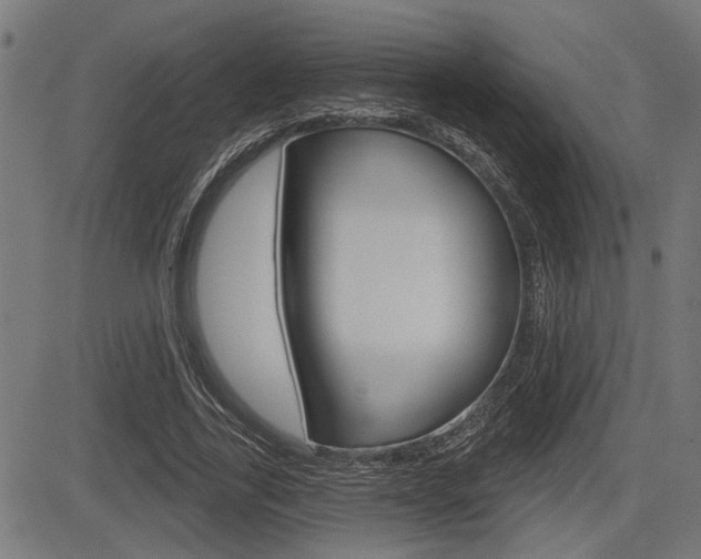 X0000083590731200702090841