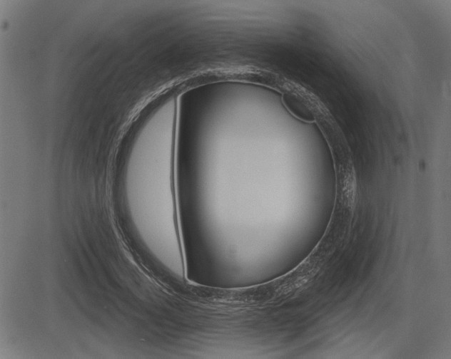 X0000083590732200702090841