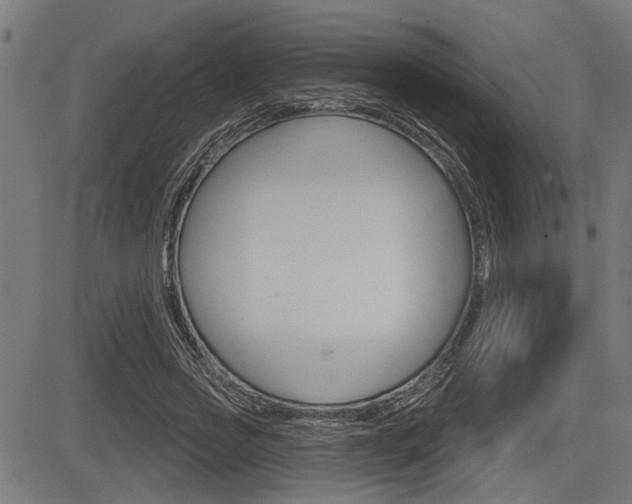 X0000083590733200702090841