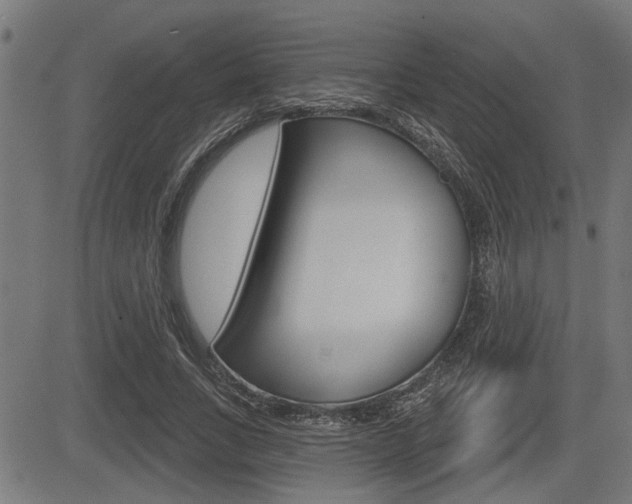 X0000083590735200702090841