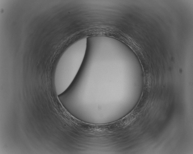 X0000083590737200702090841