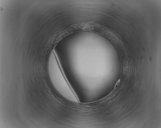 X0000083590748200702090841