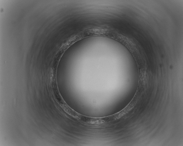 X0000083590752200702090841