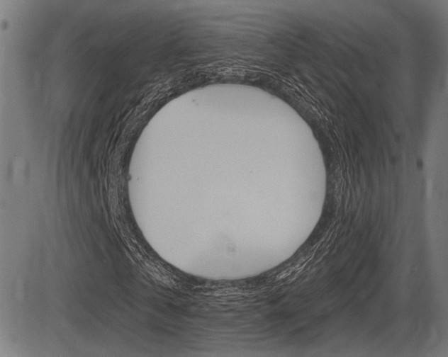 X0000083590769200702090840
