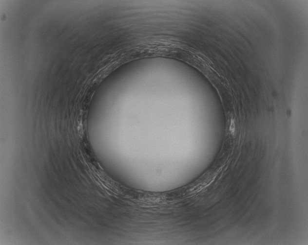X0000083590771200702090840