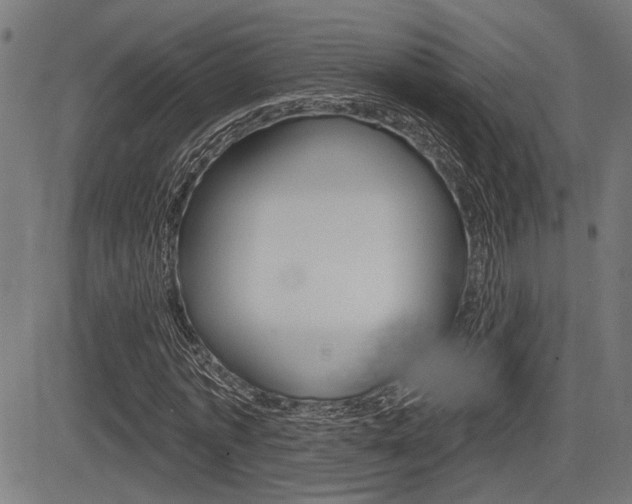 X0000083590773200702090840