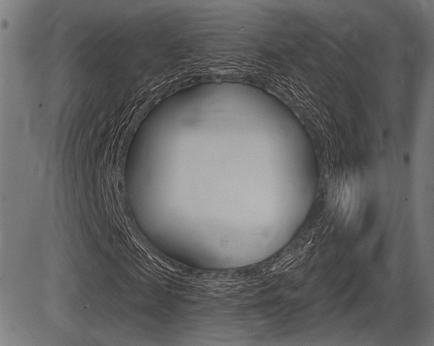 X0000083590817200702090839