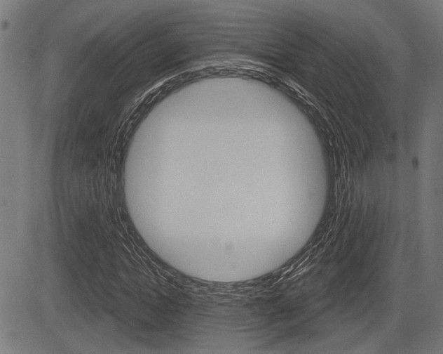 X0000083590822200702090839