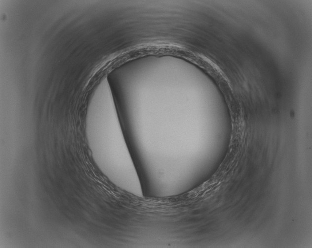 X0000083590823200702090839