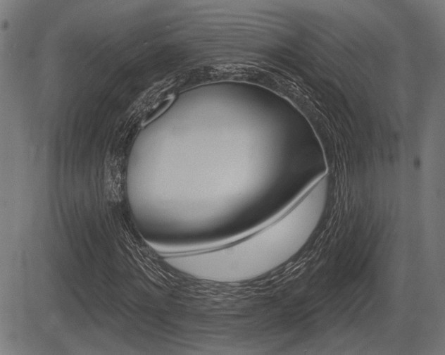 X0000083590868200702090839