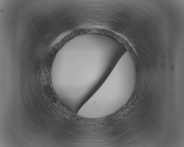 X0000083590871200702090839
