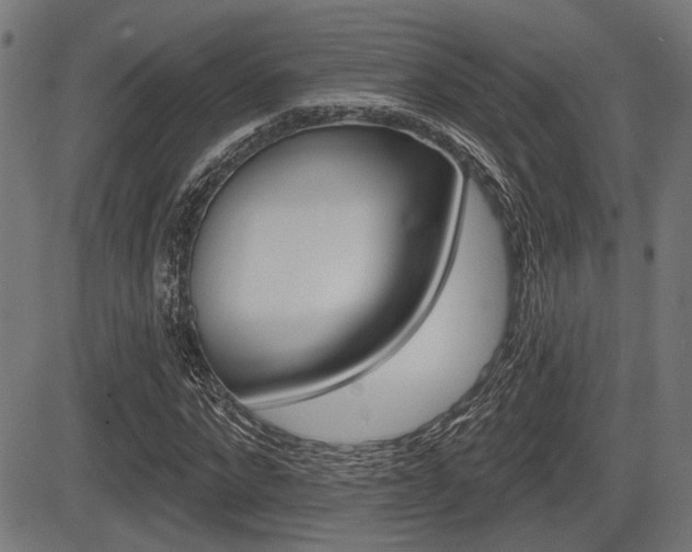 X0000083590872200702090839