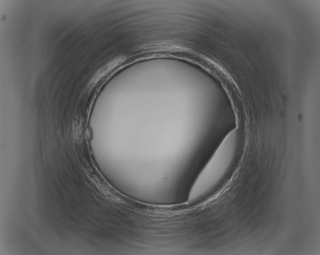 X0000083590873200702090839