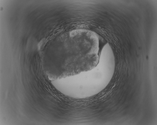 X0000083590913200702090837