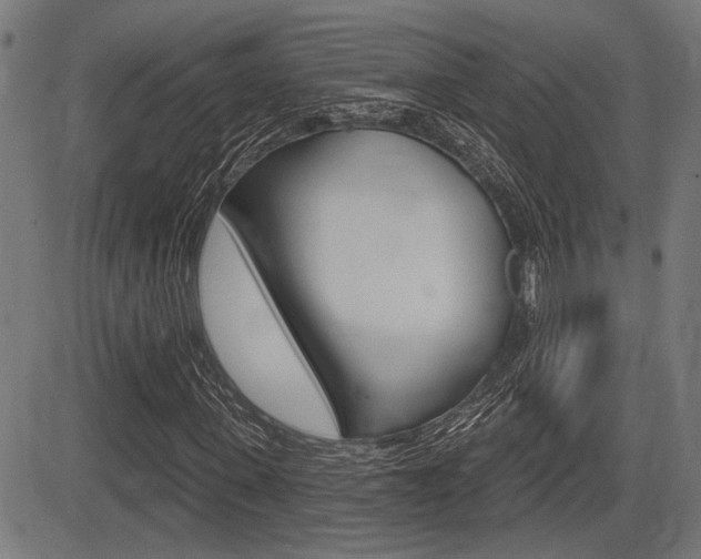 X0000083590915200702090837