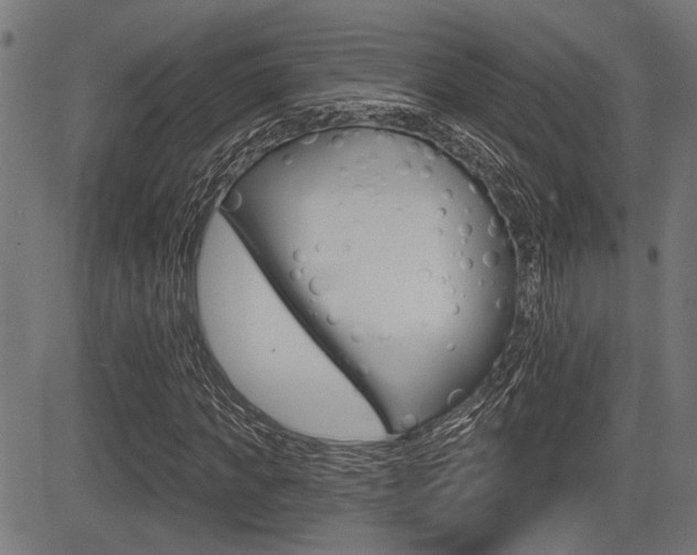 X0000083590917200702090837