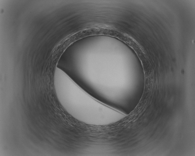 X0000083590919200702090837