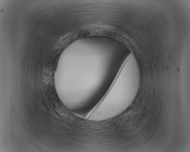 X0000083590964200702090837