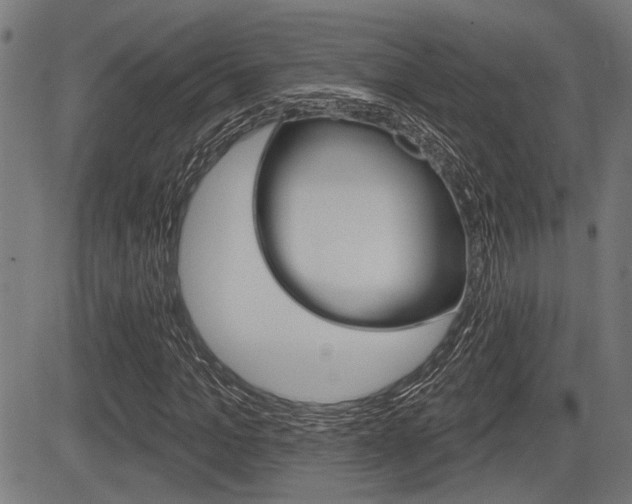 X0000083590965200702090837
