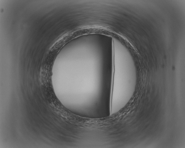 X0000083590967200702090837