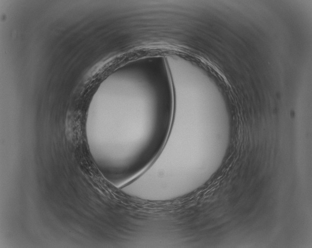 X0000083590968200702090837